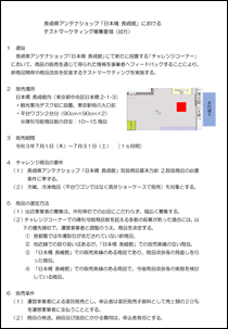 02_募集要領（試行）.pdf
